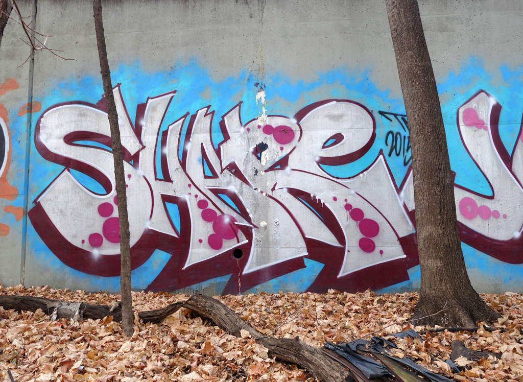 Graffiti Exploring in The Bronx